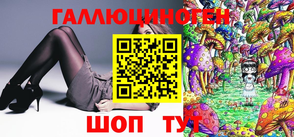 Галлюциногенные грибы Cubensis Клинцы